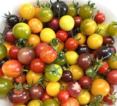Mixed Tomate Planting Samen Collection