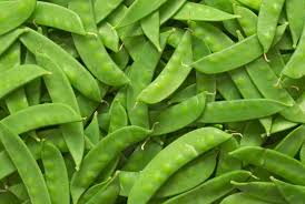 Oregon Sugar Pod Pea Samen zum Pflanzen - Crisp and Sweet Edible Pods
