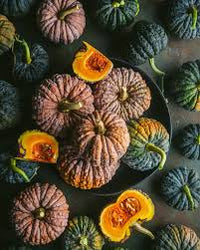 Futsu Squash Samen: Perfect zum Pflanzen