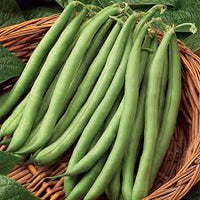 Blau Lake Pole Bean Samen zum Pflanzen