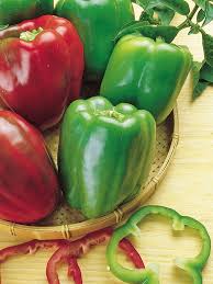 Pepper Samen for Gemüse Planting
