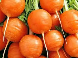 Premium Parisian Carrot Samen  Ideal zum Pflanzen