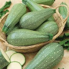 Grey Zucchini Squash Samen zum Pflanzen  Grow Delicious Gemüses
