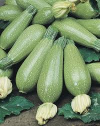 Semi di zucchina grigia da piantare - Coltiva deliziose verdure
