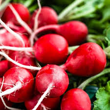 Cherry Belle Radish Planting Samen