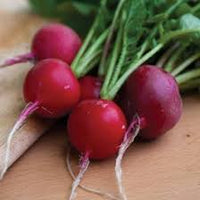 Cherry Belle Radish Planting Samen