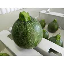 Squash Gemüse Samen zum Pflanzen