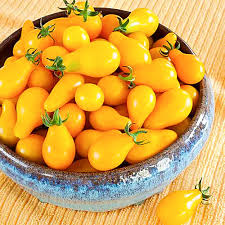 Semi di pomodoro ciliegino giallo per la semina primaverile
