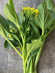 Yu Choy Gemüse Planting Samen