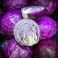 Rot Acre Cabbage Samen zum Pflanzen  Grow Traditionell Lila Cabbage
