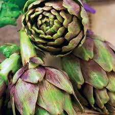 Lila Artichoke Gemüse Samen zum Pflanzen