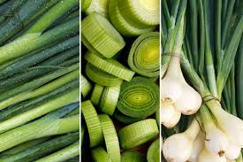Scallion Gemüsesamen  Perfect zum Pflanzen