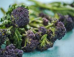 Lila Broccoli Samen zum Pflanzen - Vibrant, Nutritious Gemüse
