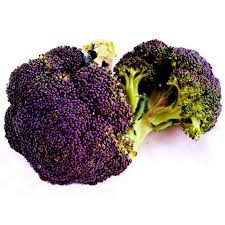 Lila Broccoli Samen zum Pflanzen - Vibrant, Nutritious Gemüse