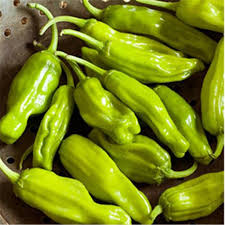 Pepperoncini-Gemüsesamen – ideal für den Hausgarten
