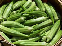 Clemson Okra Samen zum Pflanzen  Premium Quality