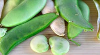Grow Delicious Lima Beans | Easy Planting Samen for Your Garden