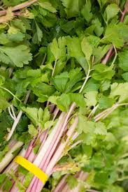 Pink Plume Celery Gemüse Samen zum Pflanzen