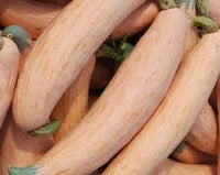 Georgia Candy Roaster Gemüse Samen zum Pflanzen