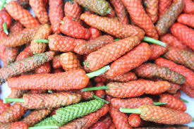 Long Pepper Samen zum Pflanzen - Piper Longum Gemüsesamen
