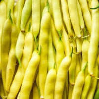 Traditionell Gelb Wax Bean Samen zum Pflanzen  Grow Delicious Beans