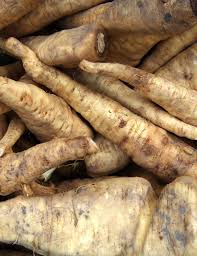 Russian Horseradish Gemüsesamen for für den Hausgarten