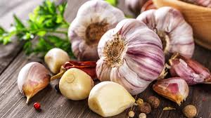 Hell Lila Knoblauch Samen zum Pflanzen