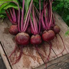 Rot Rote Bete Samen - Perfect zum Pflanzen