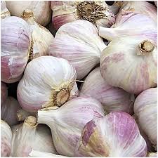 Weiß Knoblauch Samen zum Pflanzen - Premium Gemüsesamen
