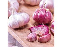 Weiß Knoblauch Samen zum Pflanzen - Premium Gemüsesamen