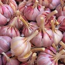 Lila & Weiß Knoblauch Samen zum Pflanzen