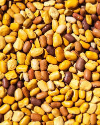 kaufen brown tepary bean vegetable pflanzung samen Stück, 100 Stück