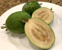 Feijoa Samen Ananas Guave