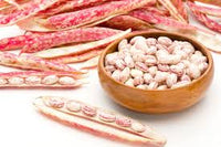 Pink & Weiß Pinto Bean Samen zum Pflanzen