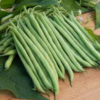 Green Stallard Bean Gemüsesamen für einfache Aussaat