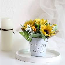 Sunflower bonsai anpflanzung blume samen schwarz
