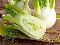 Florence Fennel Gemüsesamen für einfache Aussaat