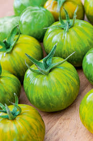Green Zebra Tomate Samen zum Pflanzen  Traditionell Gemüse Garden Samen