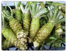 Green Horseradish Gemüse Samen zum Pflanzen