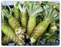Green Horseradish Gemüse Samen zum Pflanzen