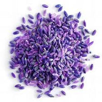 Weiß Lavendel Blumensamen zur Aussaat Garten beliebt Traditionssorte & ohne Gentechnik Samen Hausgarten