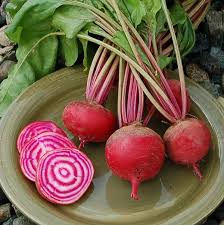 Rot Chioggia Beet Samen for Home Gardening