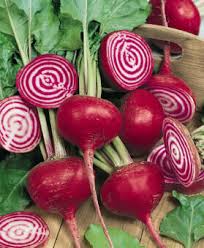 Semi di barbabietola Chioggia rossa per il giardinaggio domestico