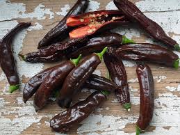Aji Panca Chocolate Samen zum Pflanzen - Gemüse Garden Samen