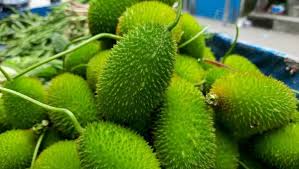 Green Wooly Bear Gourd Gemüse Planting Samen