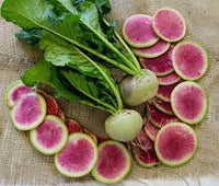 Watermelon Radish Gemüse Samen zum Pflanzen
