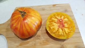 Copia Tomate Samen for Sweet, Juicy Traditionell Tomatees