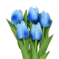 Tulpe Blau Blumensamen zur Aussaat – robust Sorte – Traditionssorte & ohne Gentechnik Samen Hausgarten
