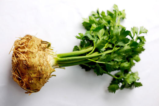 Celeriac Planting Samen Collection | Grow Your Own Gemüse