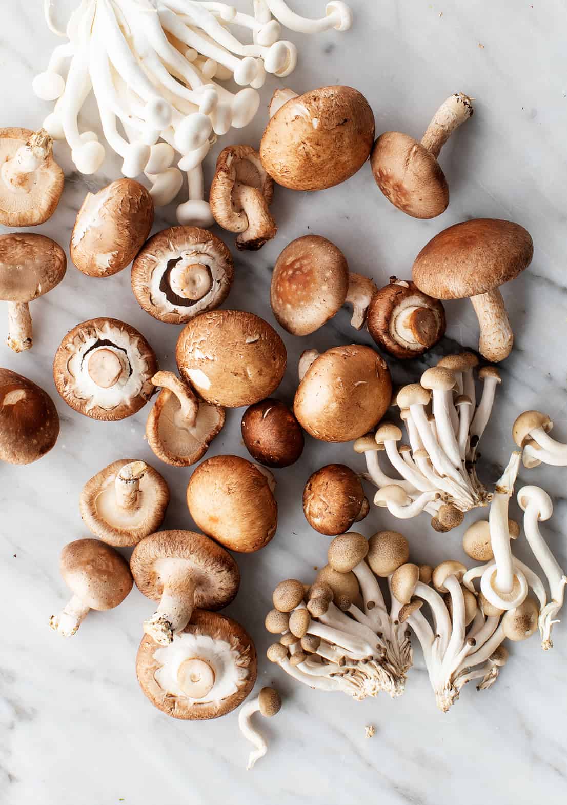Indoor pilz cultivation with mixed samen